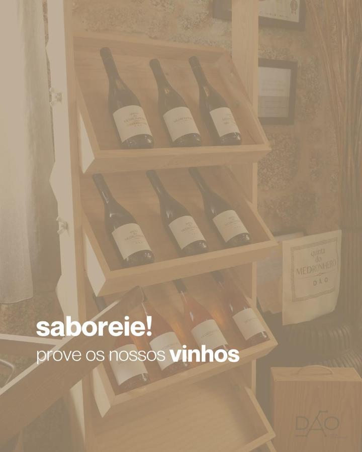 Quinta Do Medronheiro Hotel Rural 비세우 외부 사진